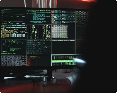 secure-customer-data secure customer data